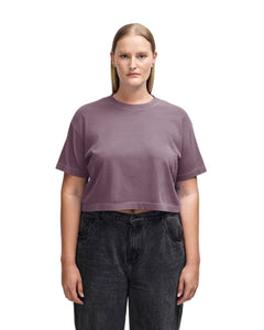 Faded Smokey Violet
